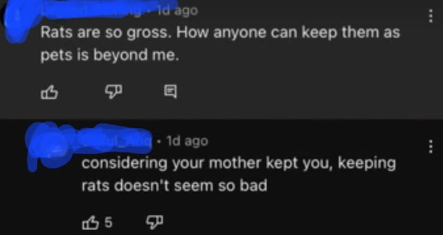 under a video talking about taking care of rats