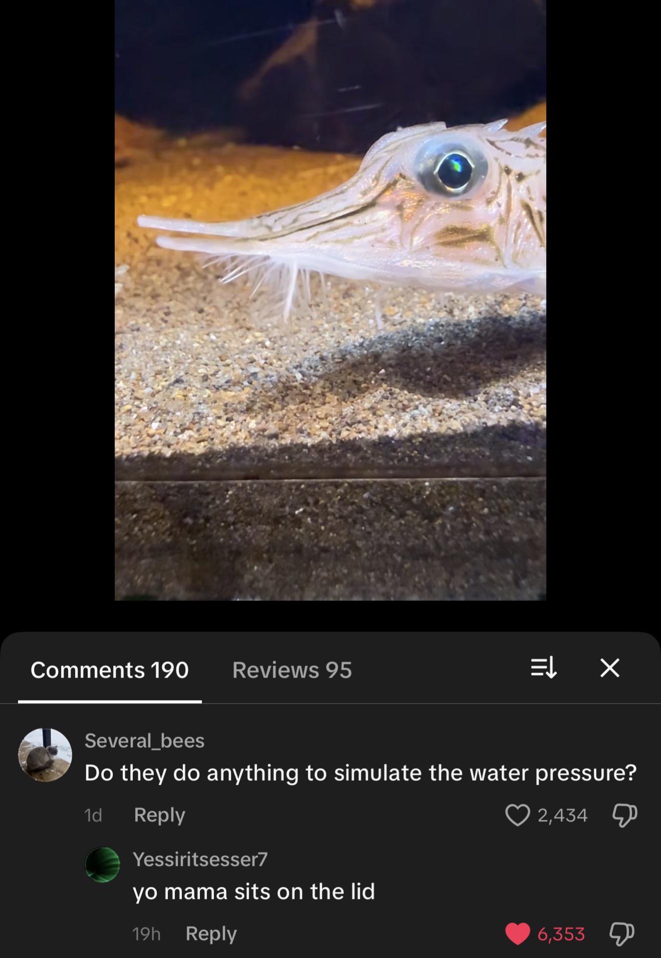 The use is rare, the insult is a classic