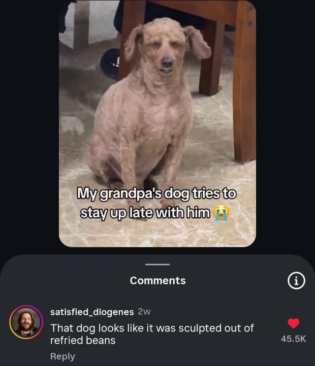 sculpted out of refried beans