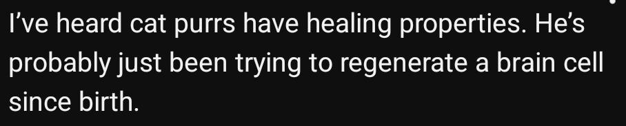 About a cat that wont stop purring