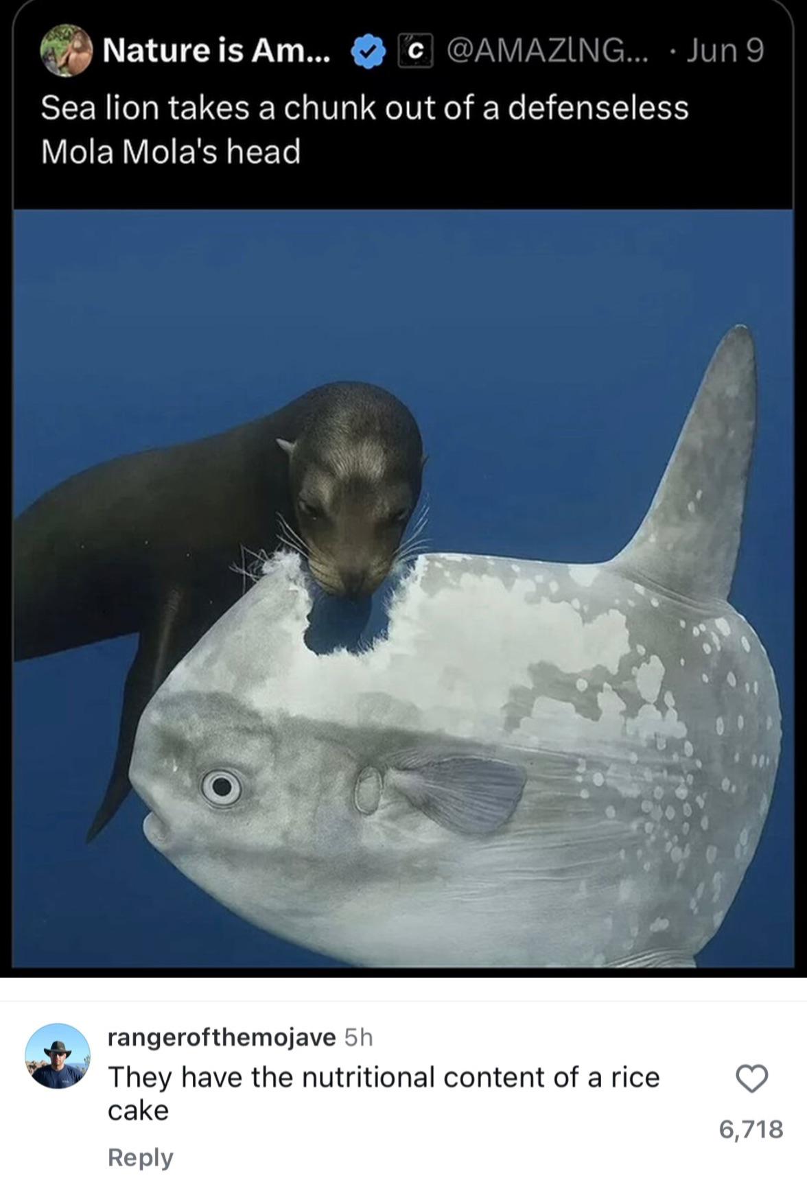 How can they be this nonchalant?