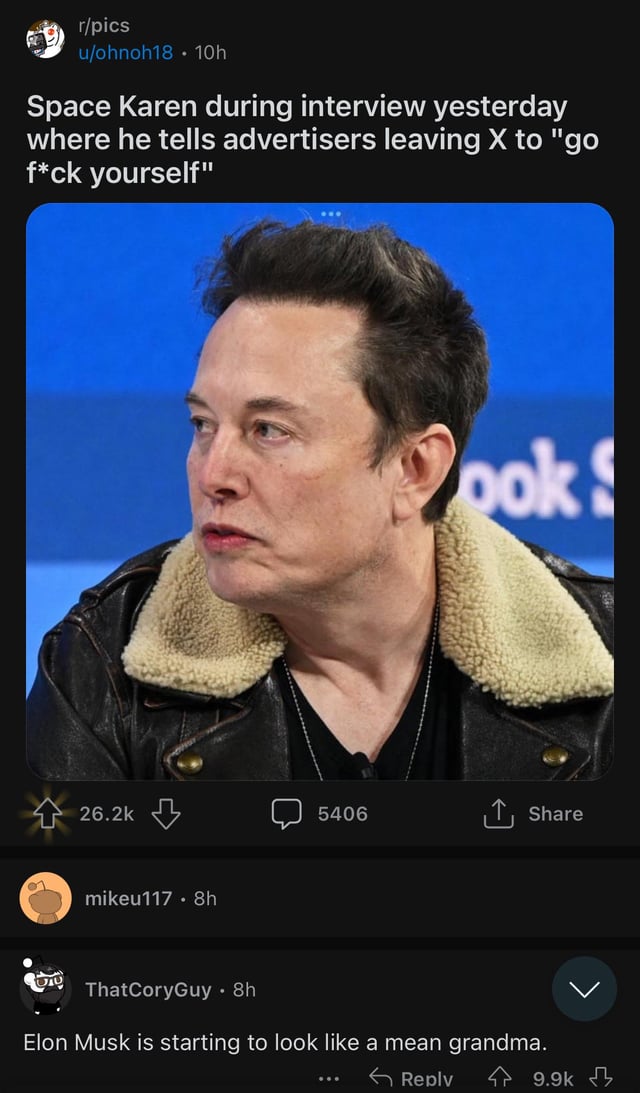 Elon looks like a grandma