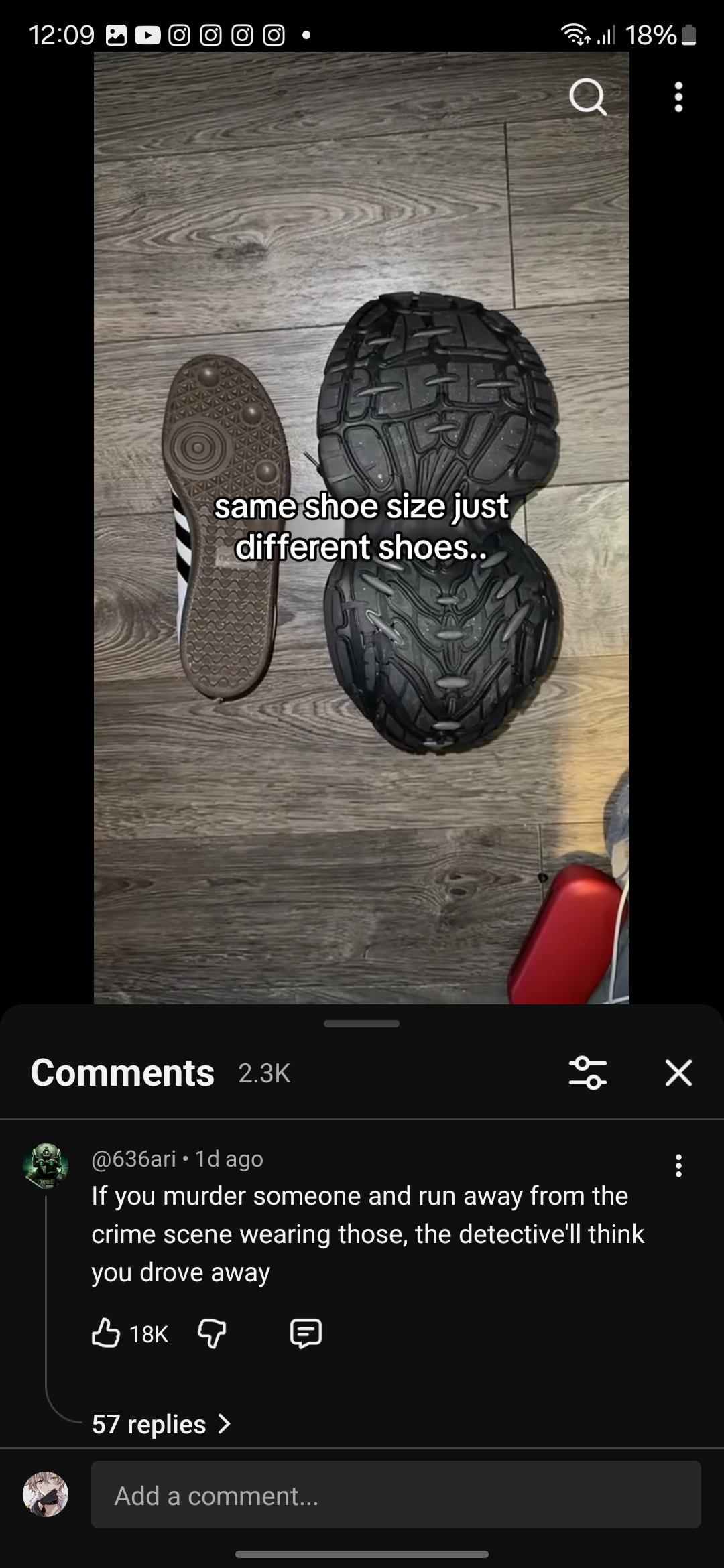 same shoe size