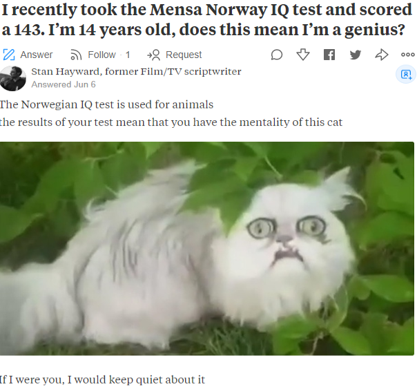 Well, that cat looks pretty smart