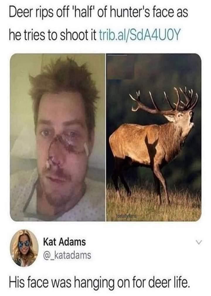 Bro got destroyed by the deer