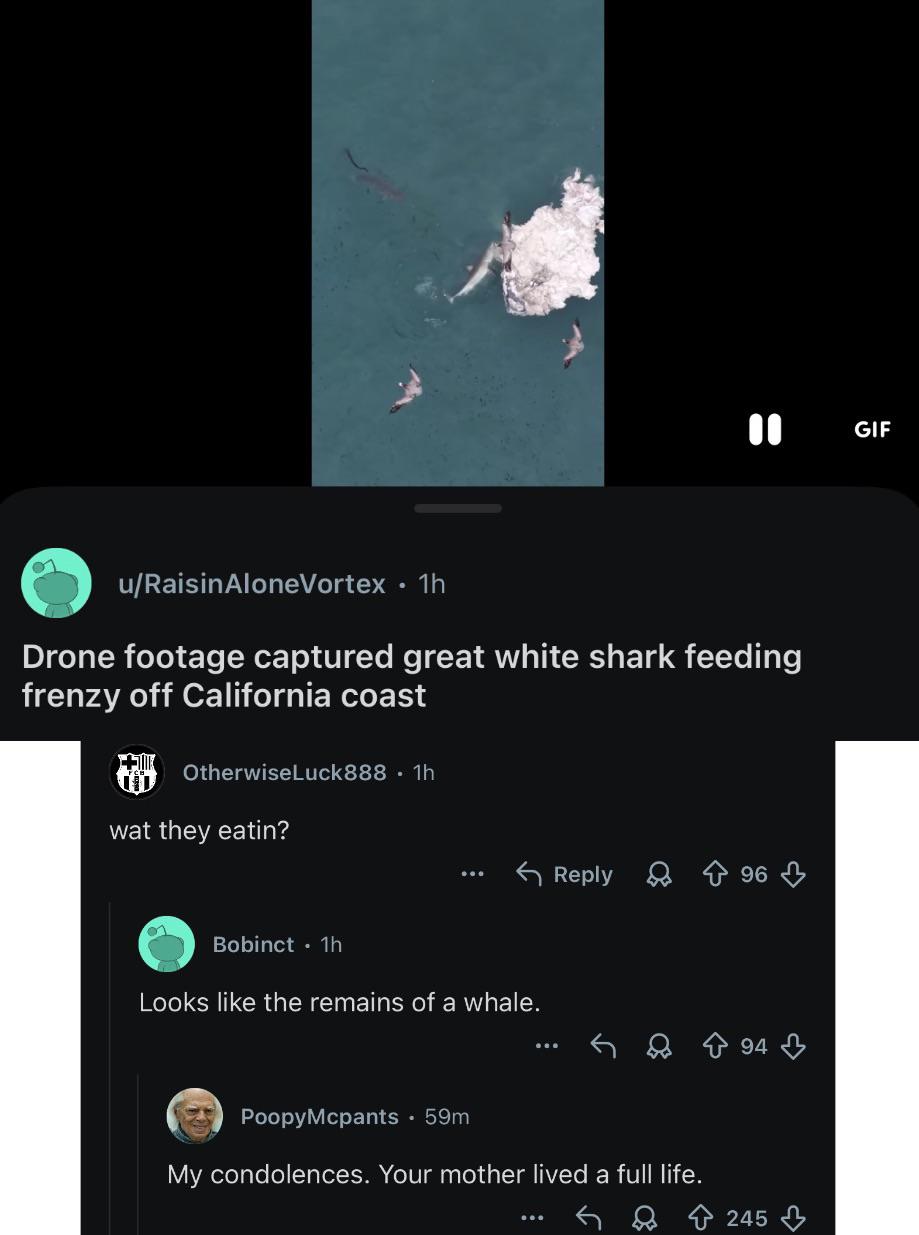 Great White ain’t the only thing eating today