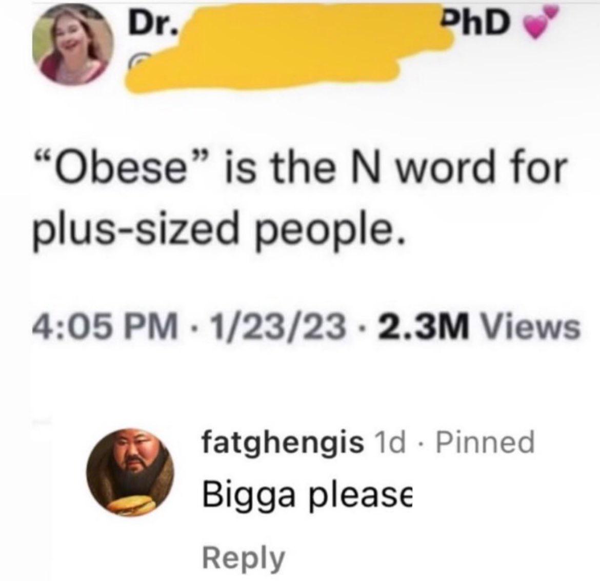 “n-word” for fat people