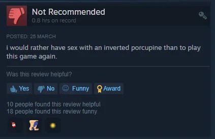 steam review I found