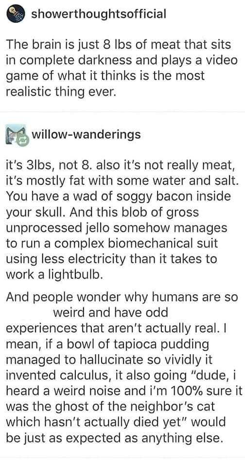 "A wad of of soggy bacon inside your skull"