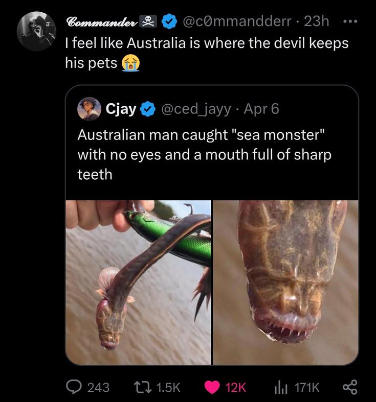 The devil's pets storage finally found