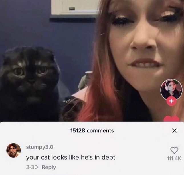 poor kitty looking like that