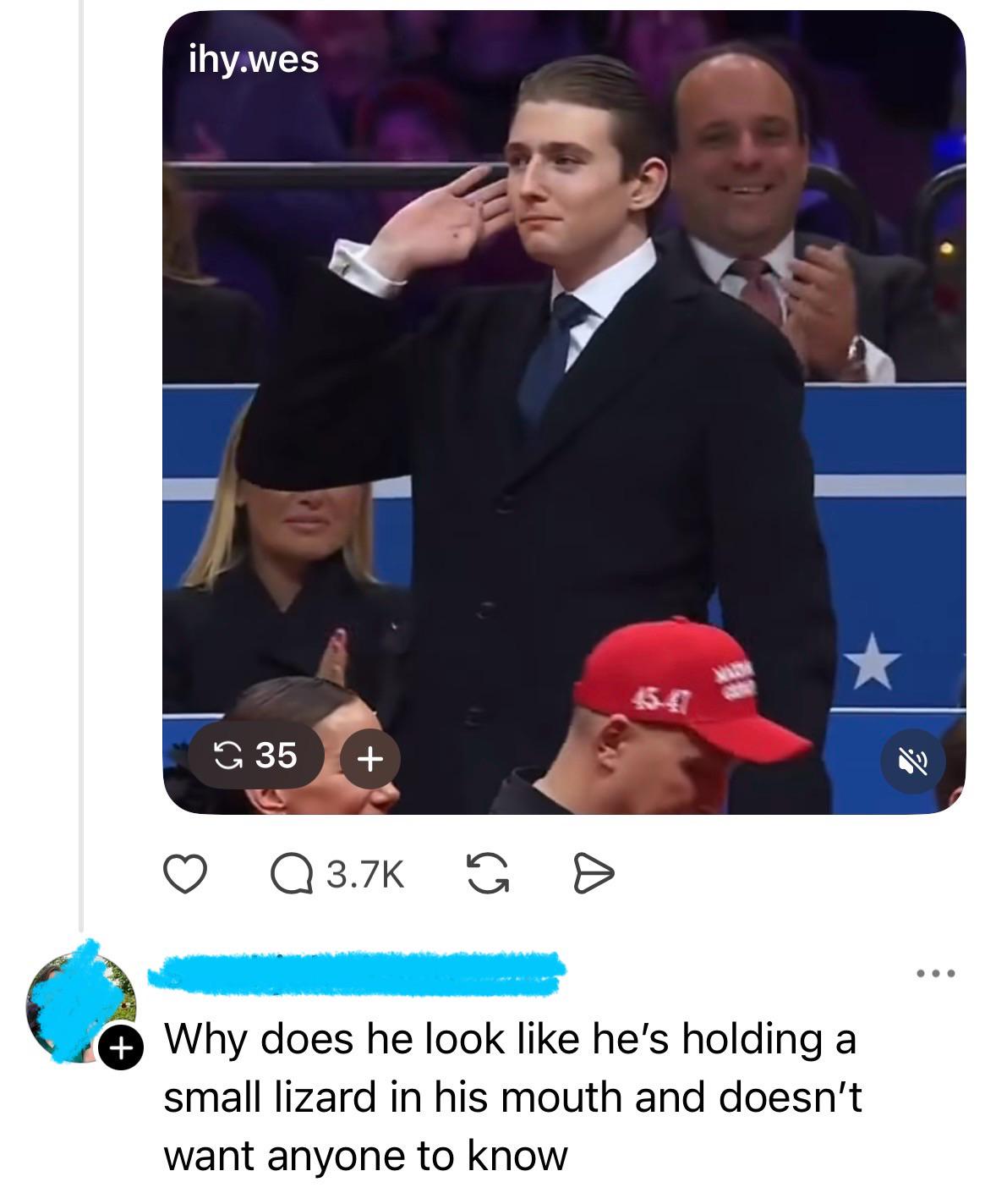 new place to store a lizard