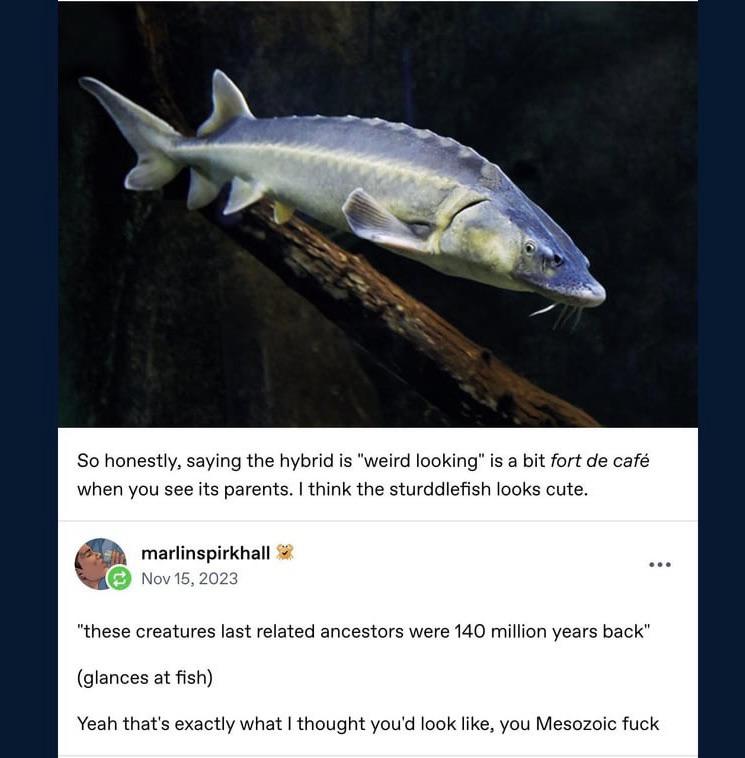 “You Mesozoic Fuck”