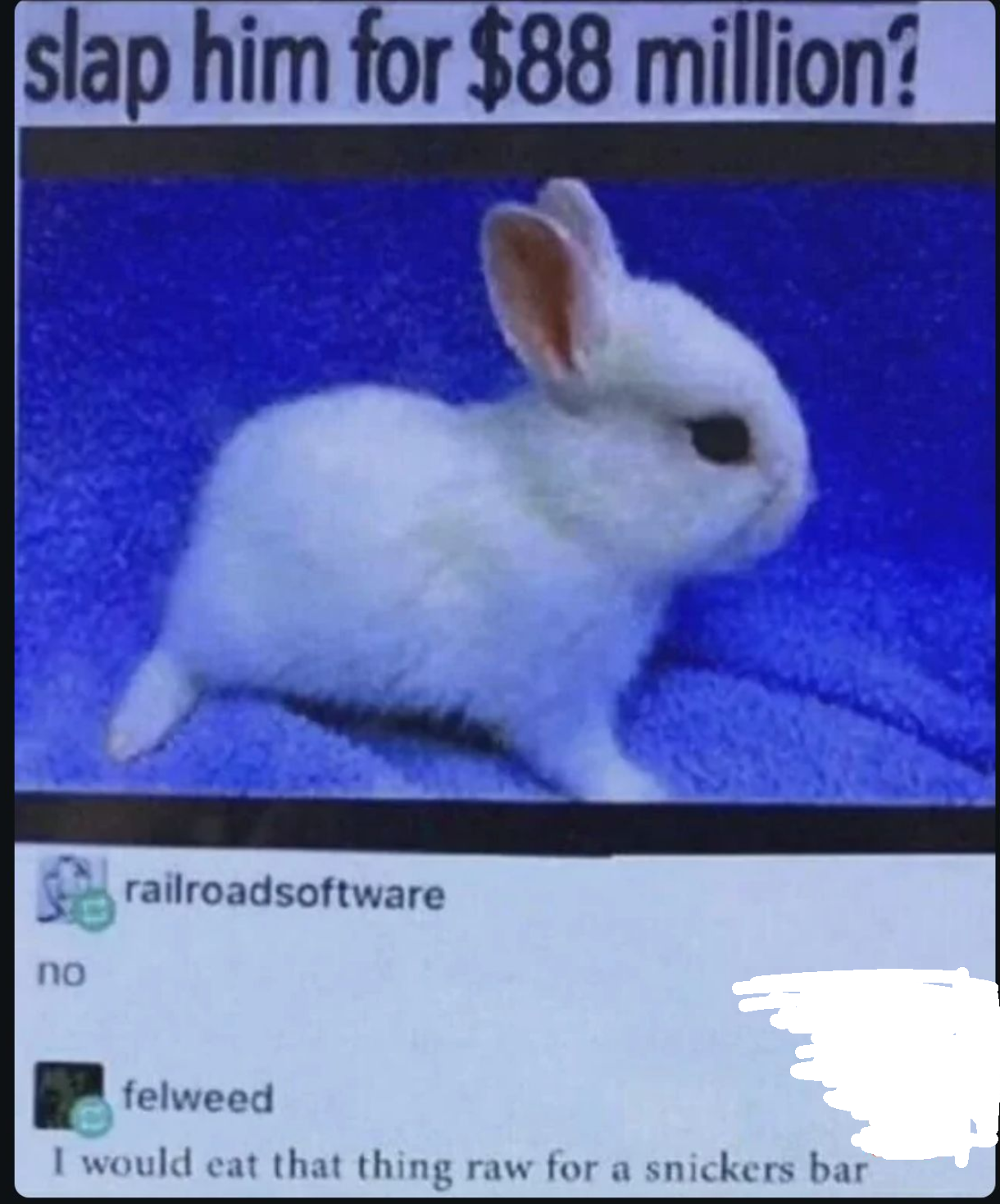 Rabbit got insulted so bad