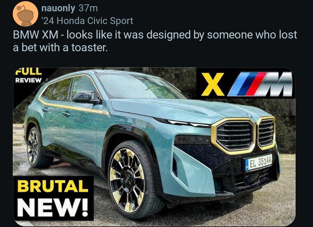 BMW catching strays