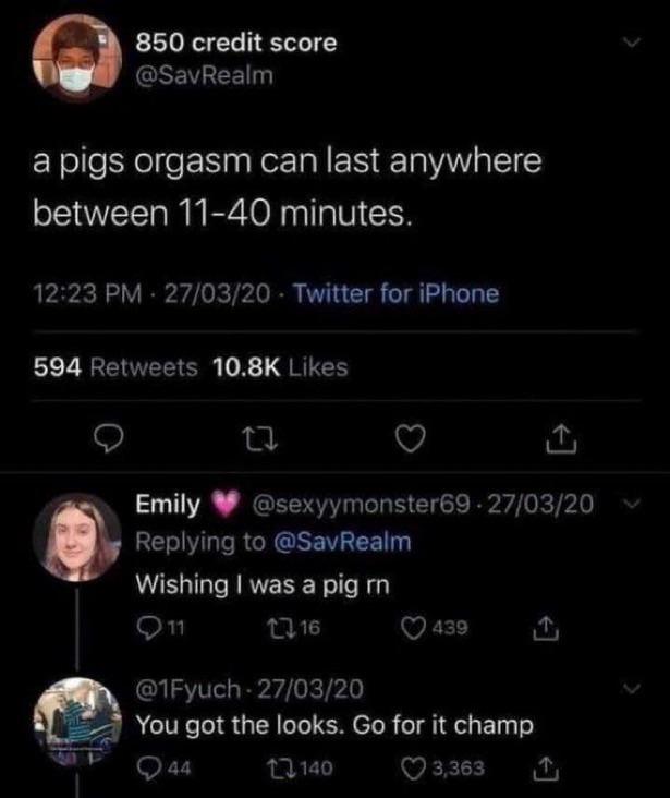 Pigs living it 🐷