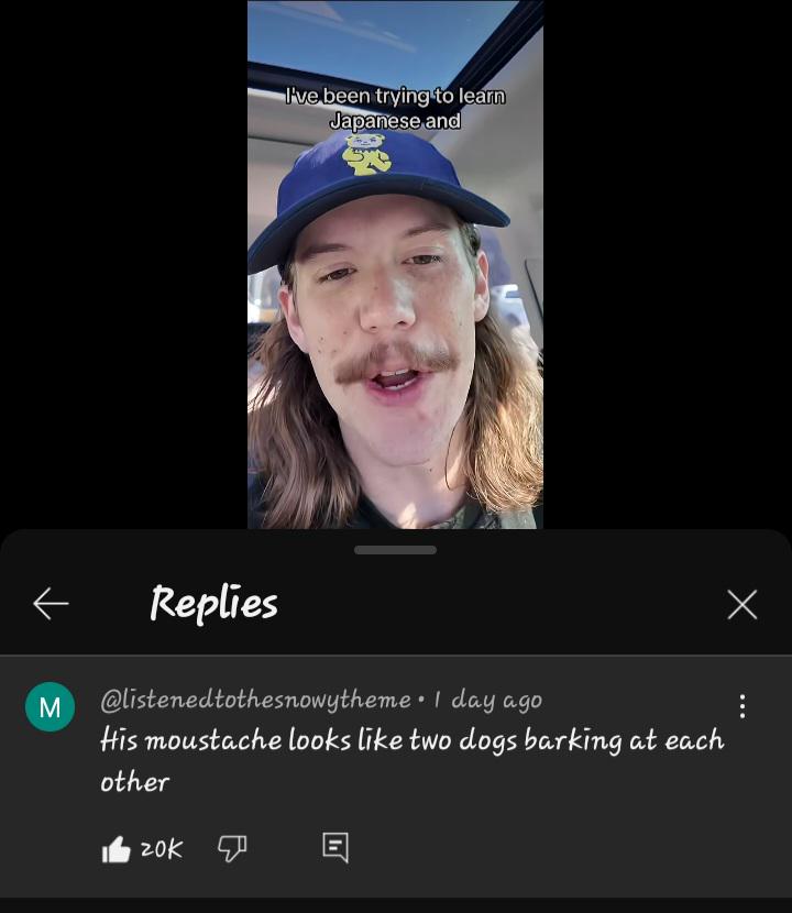 Pretty accurate lmao