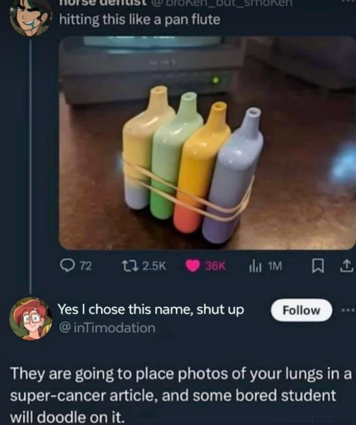 caught a stray they definitely invited