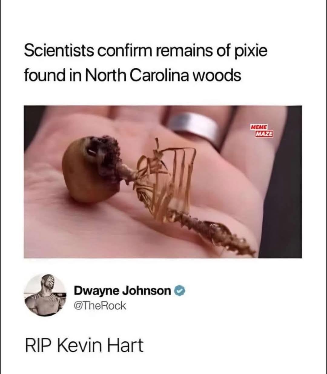 RIP Kevin Hart