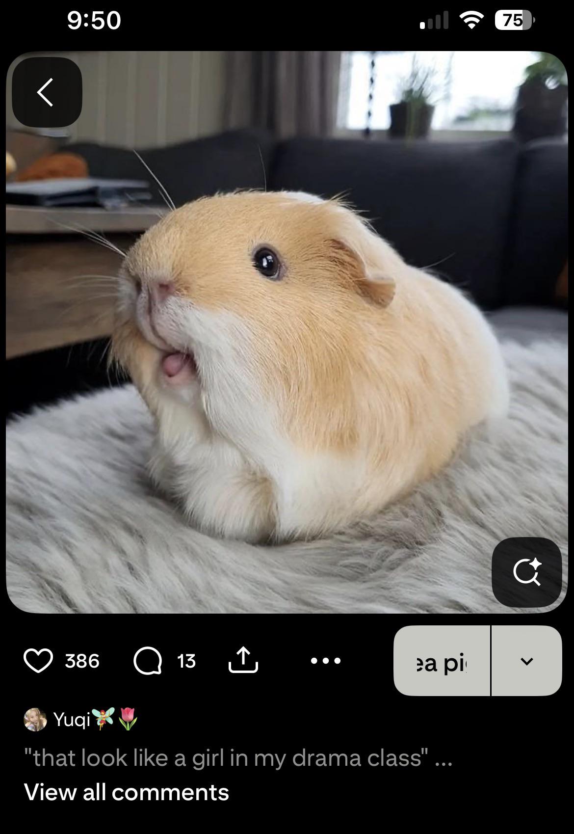 Spotted on Pinterest