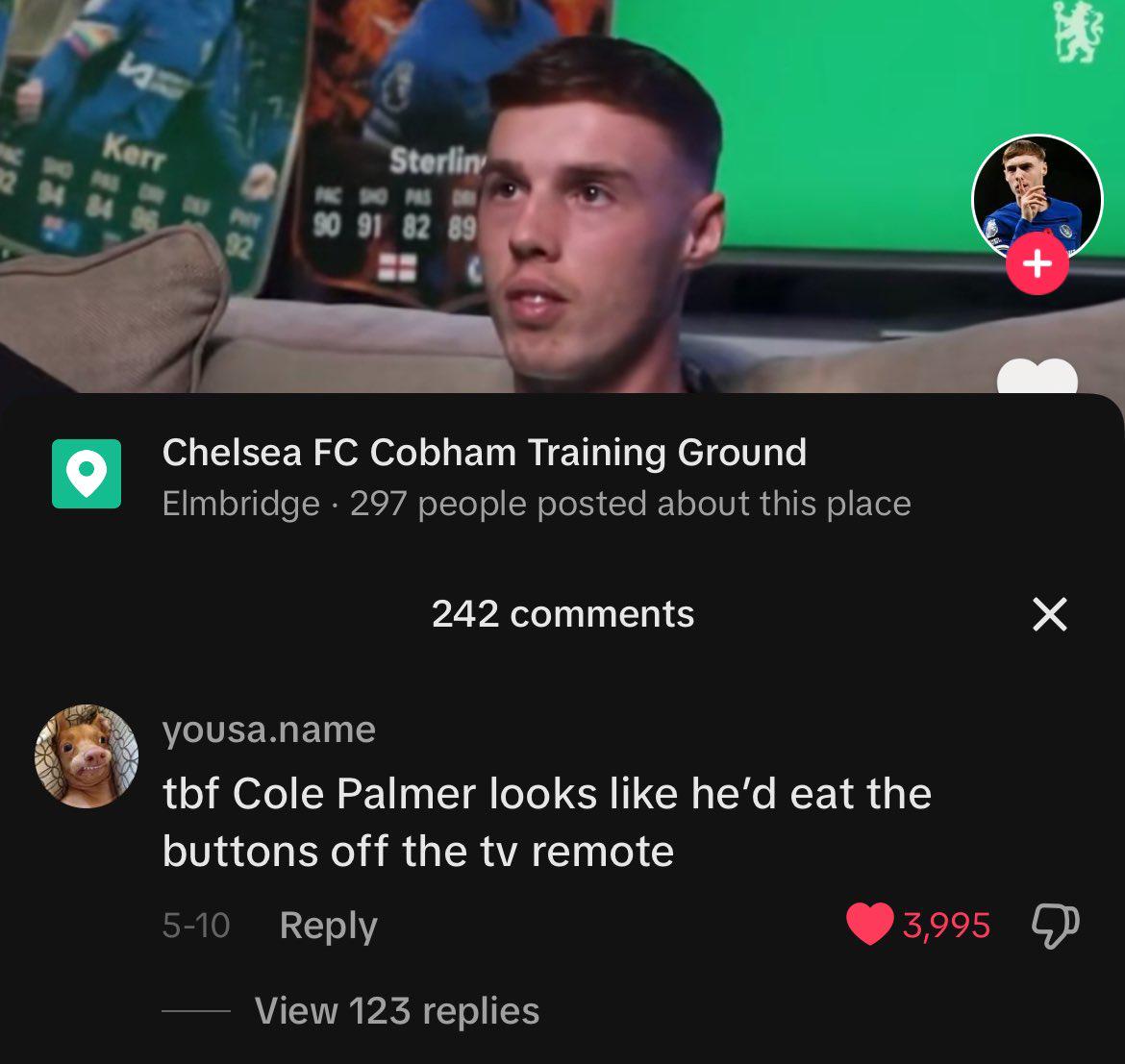 About football player Cole Palmer