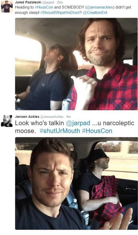 Narcoleptic moose, lol