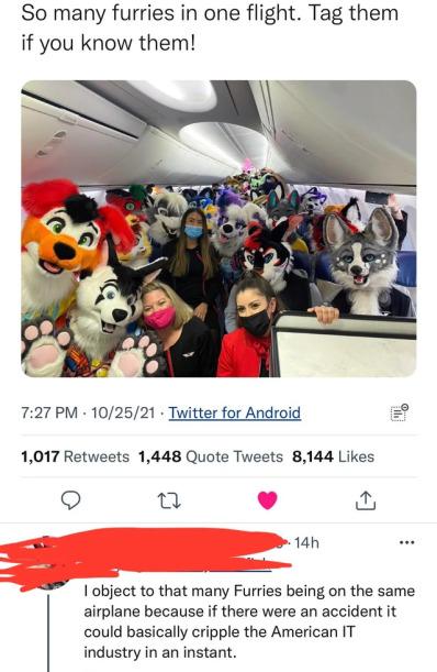 When your flight feels like a furry festival