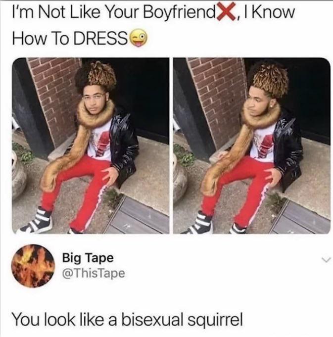 You look like a bisexual squirrel