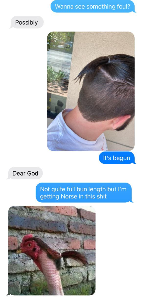 I showed my brother a progress pic of my new cut