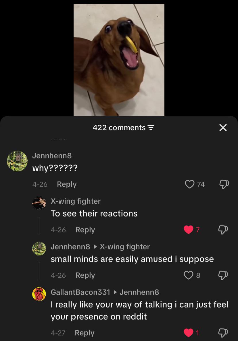 On a video showing dogs being given slices of lemon.