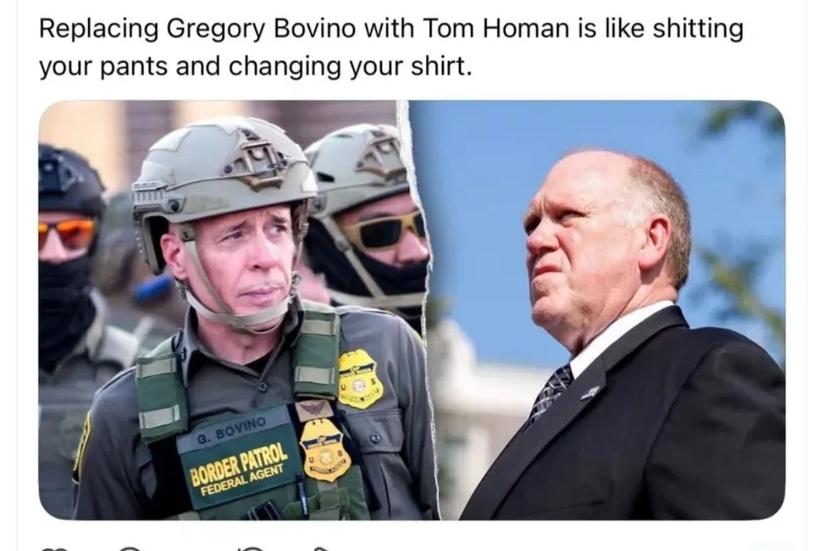 What's the difference between Bovino and Homan?