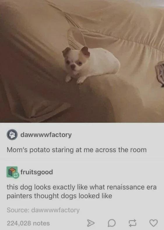 Does insulting a dog still count?