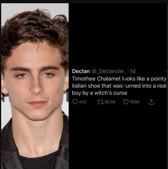 Timothee just done say wonka wonka