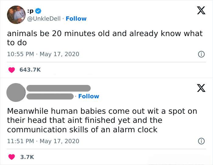 Animals download skills at birth, humans still buffering at 25.