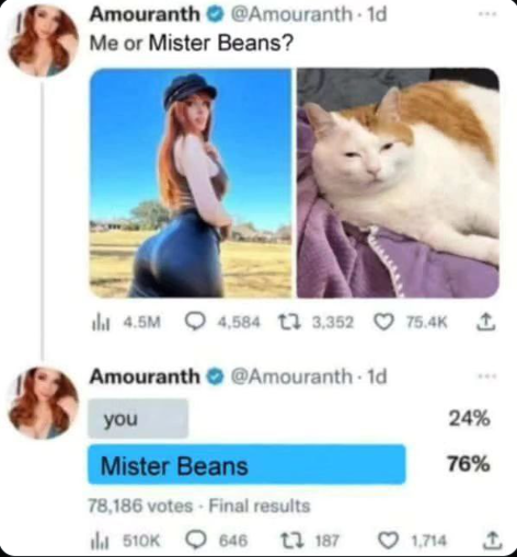 Mister Beans doesn’t smell like fish