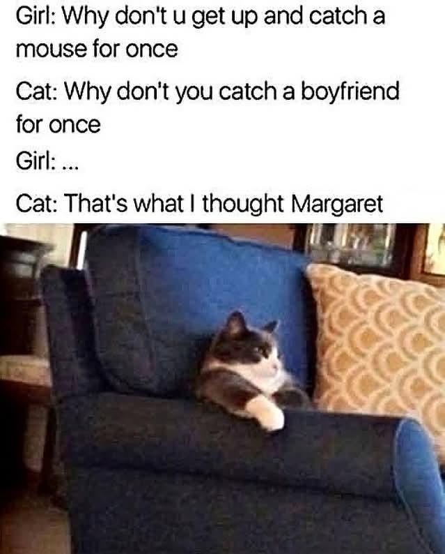 Dumb, Margaret, cat rules!
