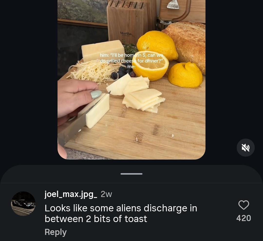Found under a "blueberry grilled cheese recipe" video