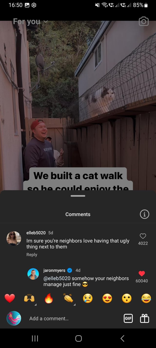 "ugly" cat walk