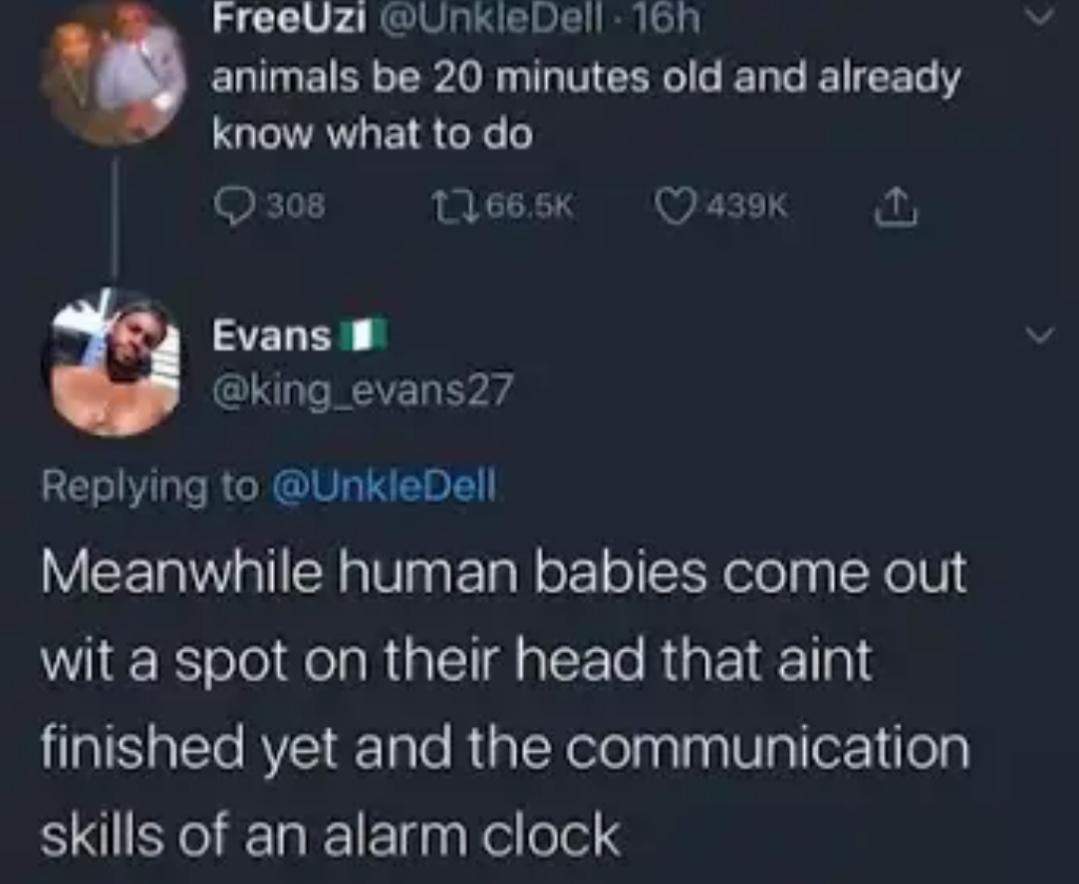 Insulting human babies