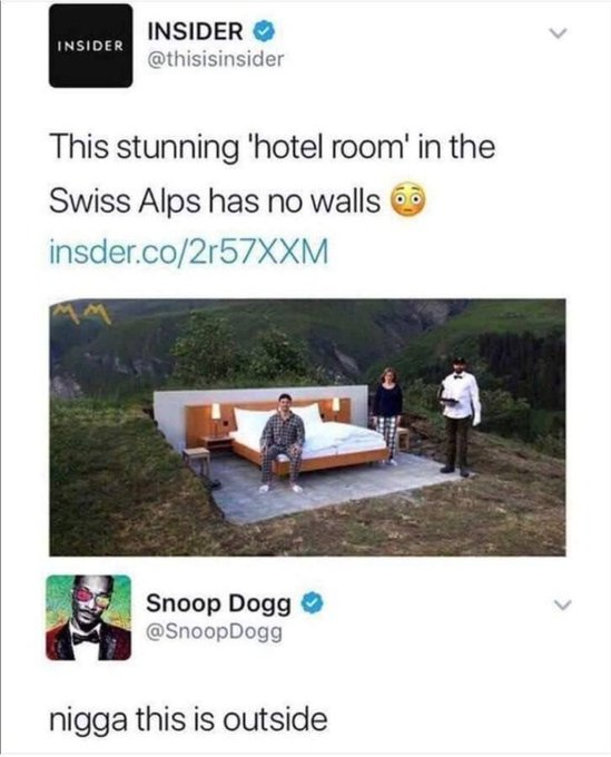 Talk about bringing the outdoors in or rather the indoors out