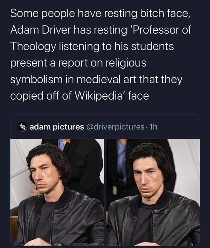 I’m not sure if this an insult or just an extremely accurate description of Adam Driver