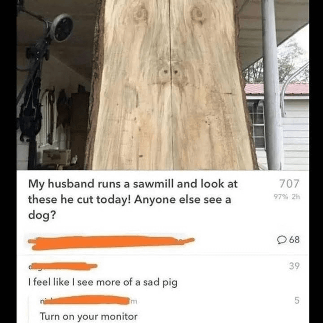 I see a sad pig too