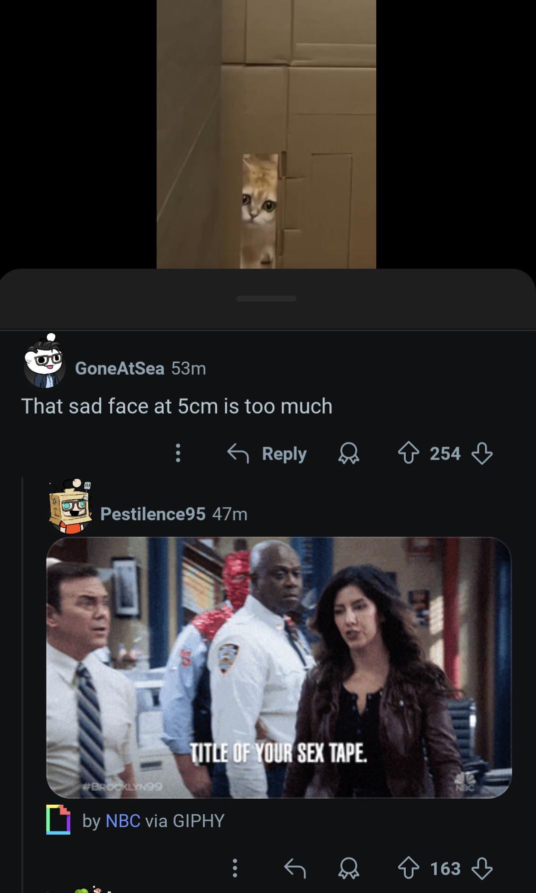 Poor guy got brutalized on a cute cat video