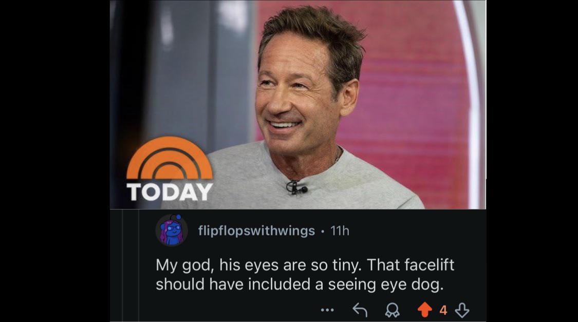 The BotoX - Files