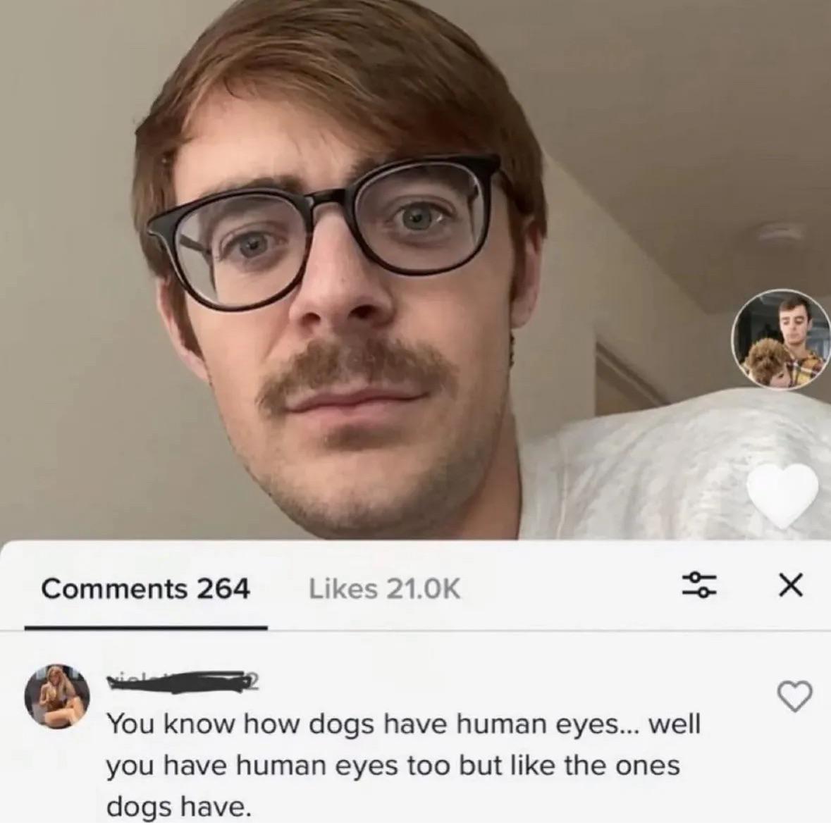 Human eyes like the ones dogs have