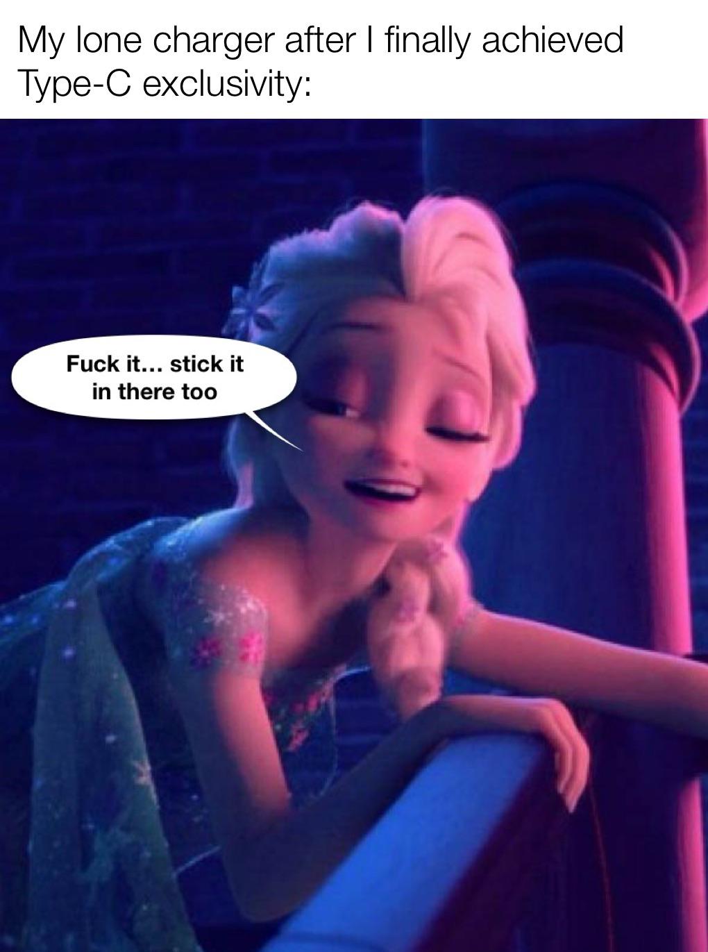 I have obtained charger zen