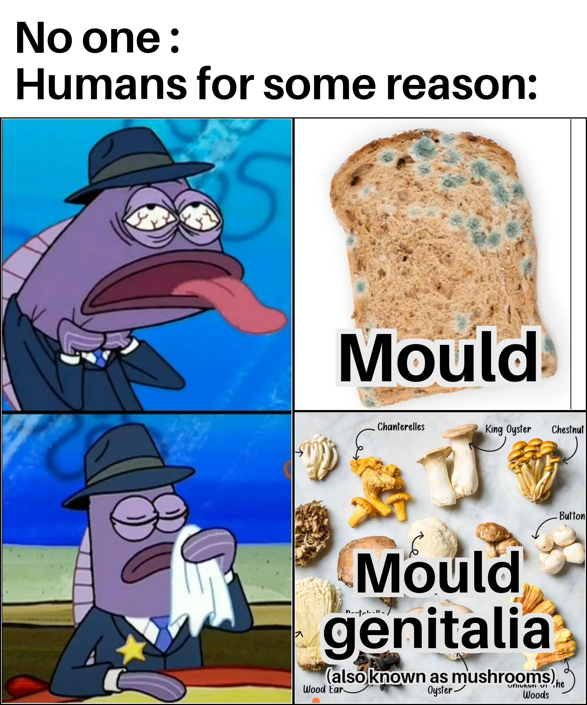 That's some serious gourmet shit