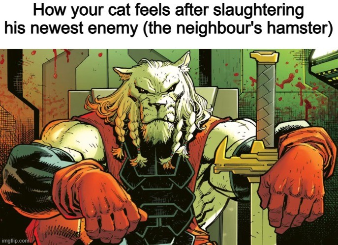 Cats