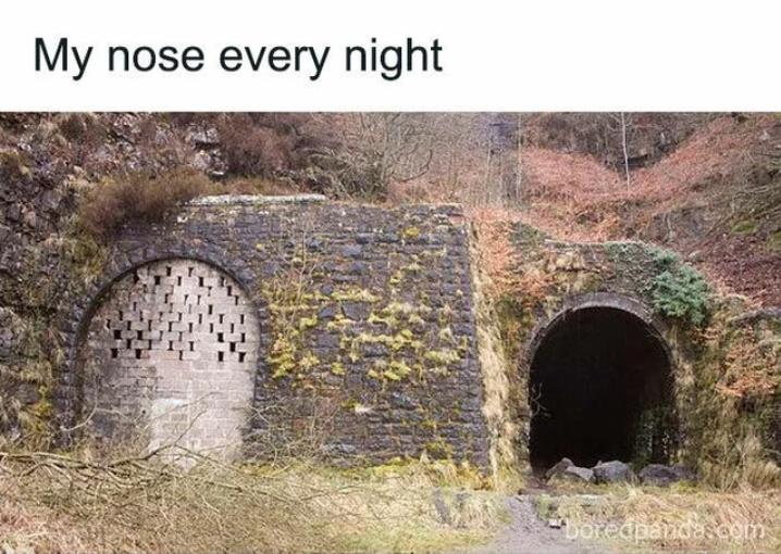 Which one is your