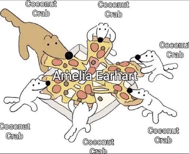 Nom nom nom